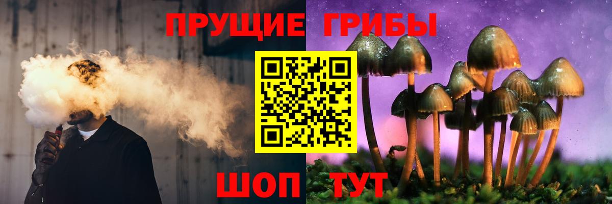 Ярославль  Псилоцибиновые грибы Psilocybe  Вход с VPN 