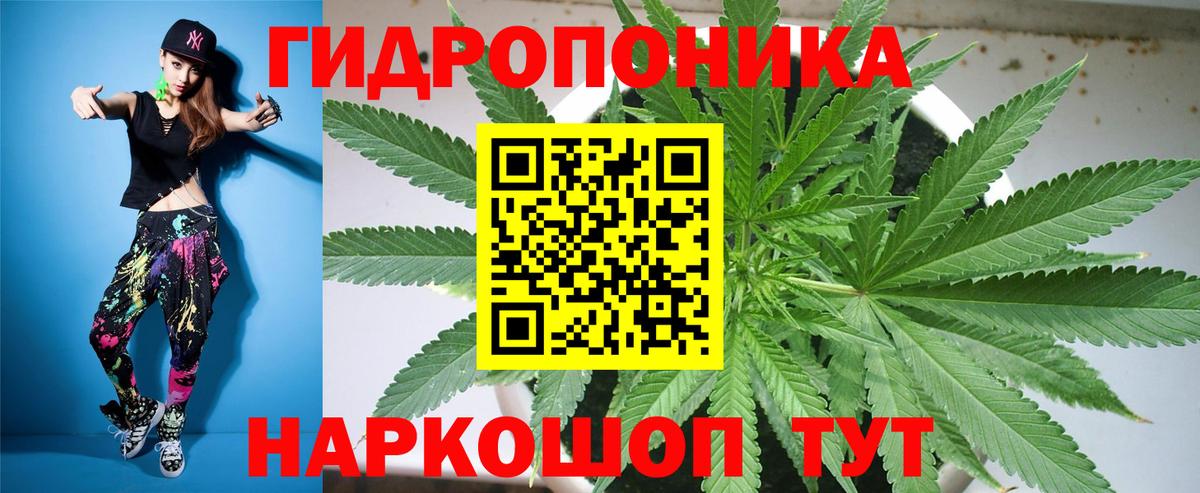 Канабис White Widow Ярославль